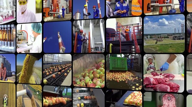 Endless Video Window Transit - Modern Industry, Food Production and Agribusiness Motion Background with angled 3D sliding grid displaying continuous factory automated workflow and farming concepts.