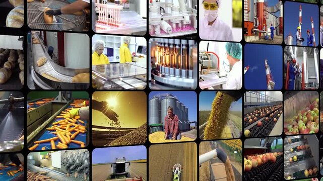 Infinite 3D Sliding Industrial Grid - Modern Manufacturing and Factory Workflow, Food Processing and Agriculture Motion. Global Industry and Farming Multi-Window Montage.