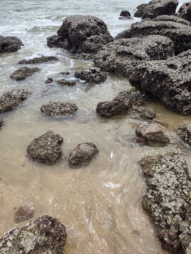 A high-angle perspective looking down at barnacle-encrusted rocks submerged in shallow, clear sea water along a sandy shore.