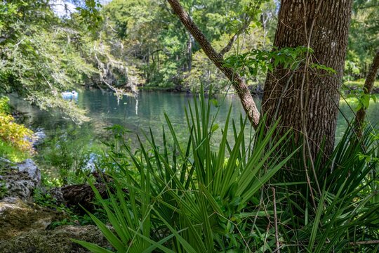 Ginnie Springs, Florida