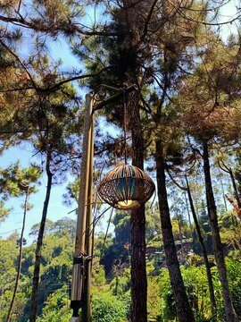 autumn in the park A rustic hanging lantern made from woven natural fibers, suspended from a wooden post among tall pine trees in a peaceful forest setting. Warm sunlight filters through the branches,