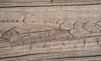 Textura de madera envejecida con grietas profundas, vetas naturales y nudo rústico © Manuela