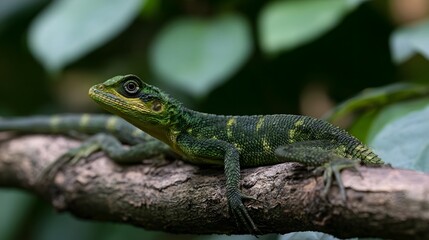 Fototapeta premium A vibrant green lizard perched on a textured tree branch surrounded by lush foliage in a natural forest setting