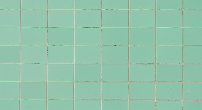 Graph paper with green grid lines on white background.