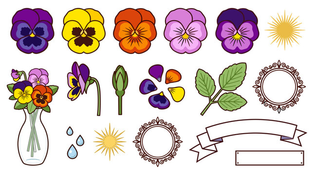 Flat pansy flower botanical vector sticker set featuring cartoon colorful viola rosettes bouquet in glass vase and baroque label frames