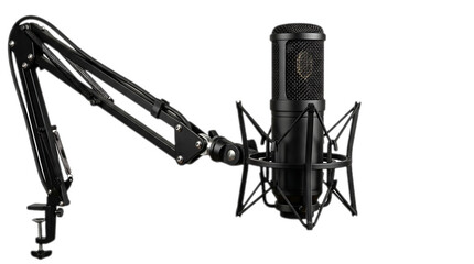 Studio Microphone on Boom Arm: A professional condenser microphone is mounted on an adjustable boom arm, ready for recording audio in a studio setting. © rashedhossain