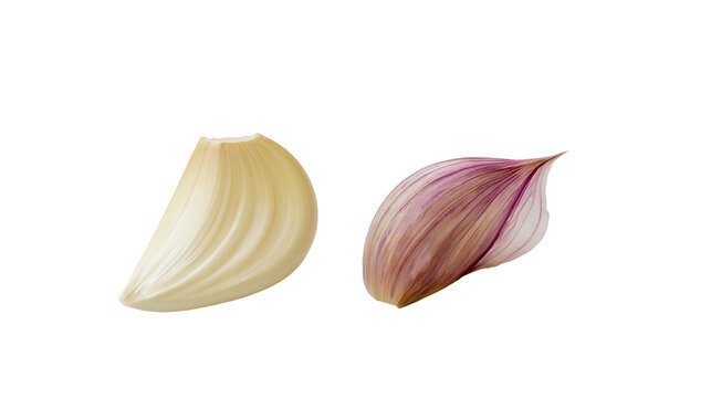 Two garlic cloves one peeled and pale yellow the other with purple skin, isolated on transparent background