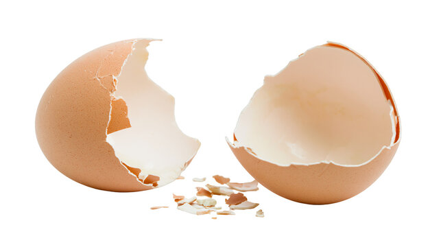 Broken brown eggshell halves with scattered fragments, isolated on transparent background