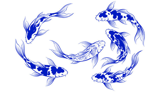 Group of blue koi fish swimming in a circle pattern isolated on a white background design