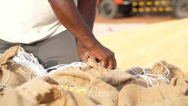 indian workers working at grain market