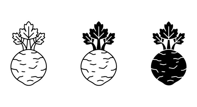 Celery Root Icons, Celeriac Vector Graphics, Root Vegetable Illustrations, Healthy Food Icons