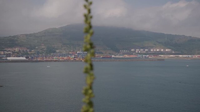 Green plant stem with small berries in sharp focus, showing the blurred Sopelana and Algorta coast and sea in the background