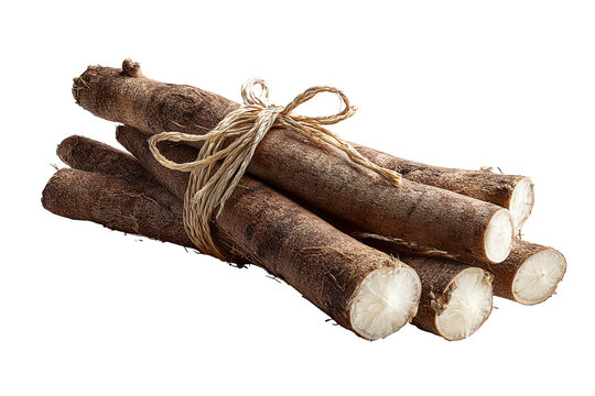 Fresh whole cassava root with natural brown textured skin, isolated PNG on transparent background
