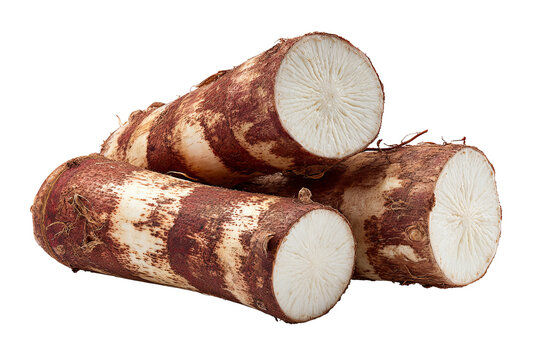 Fresh whole cassava root with natural brown textured skin, isolated PNG on transparent background