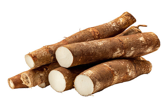 Fresh whole cassava root with natural brown textured skin, isolated PNG on transparent background