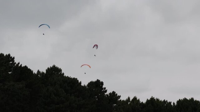 Paragliders enjoying an outdoor adventure activity, soaring high above green pine trees against a cloudy sky