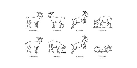 Fototapeta premium Continuous line art goat vector icon set showing standing jumping grazing and resting farm animal poses