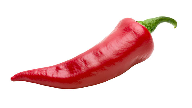 Bright red chili pepper with green stem, isolated on transparent background