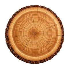 Obraz premium PNG Natural wooden tree cross-section