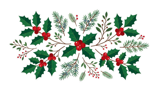 Christmas Pine Branches Holly Berries and Pine Cones Vector Element Set