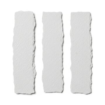 Three human spinal columns or backbones shown side by side illustration