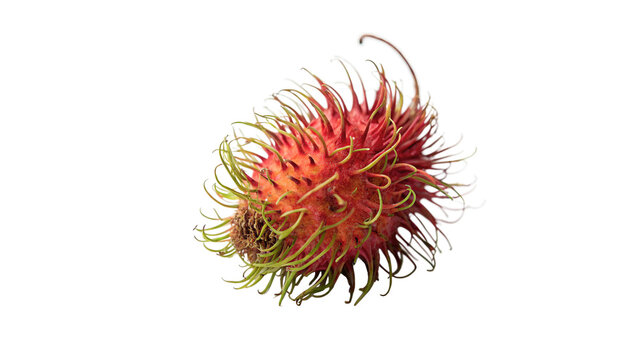 Exotic fresh rambutan fruit isolated on a white background tropical organic food