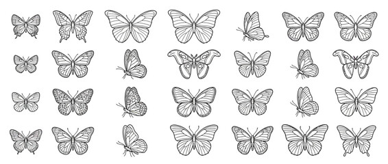 Collection of intricate line art butterflies on transparent background © oka