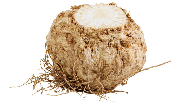 Whole celeriac root with fibrous brown skin and visible white cut surface, isolated on transparent background