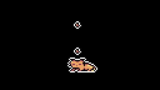 Pixel Art Cute Orange Cat sleep Animation Seamless Loop Retro Game Sprite