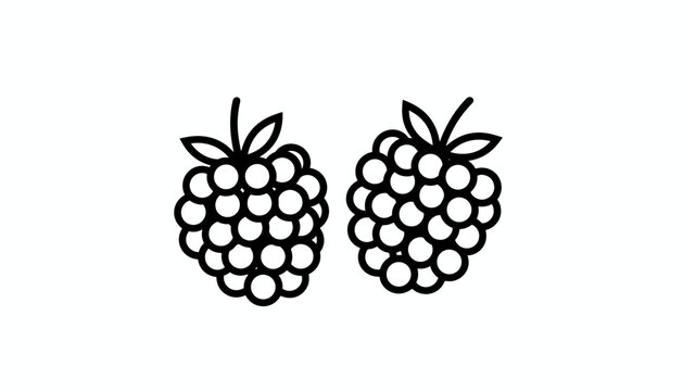 Minimalist black and white line art drawing of two fresh raspberries with leaves on a plain white background.
