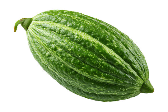 Fresh whole pointed gourd with vibrant green striped skin and realistic natural texture, isolated PNG on transparent background