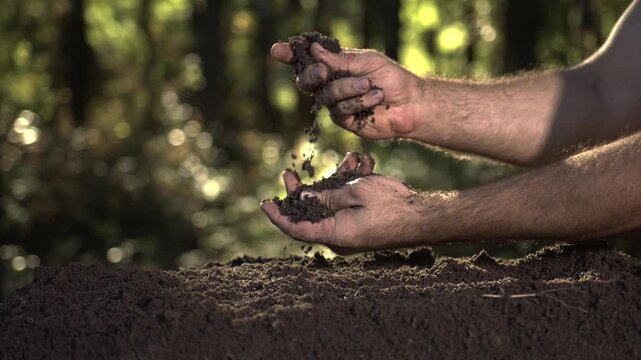 Soil in Human Hands Outdoors. Fertile soil in hands. Hands working with soil. Eco Farming Concept with Soil. Human Hands with earth in nature.