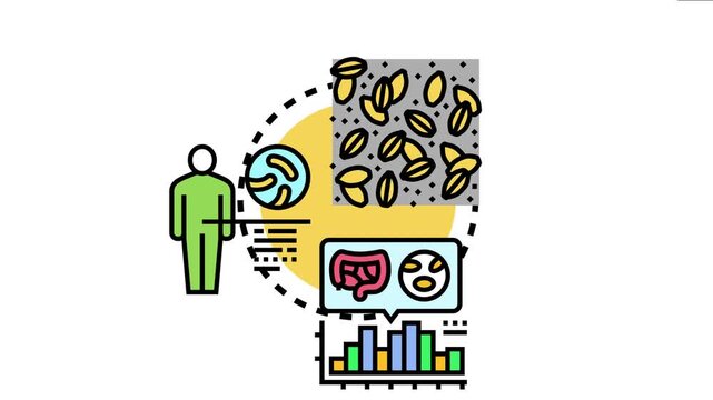 Aerobic microbial fermentation illustrates beneficial bacteria activity supporting human gut health, promoting healthy digestion and optimal internal body function through biological processes