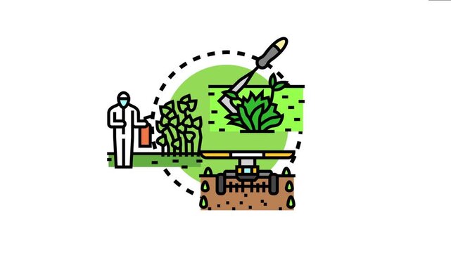 Aggressive weeds takeover concept various methods of effective weed control, including manual weeding, chemical spraying, and irrigation for optimized garden or farm growth