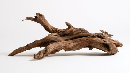 Fototapeta premium Natural Gnarled Driftwood Sculpture on White Background.