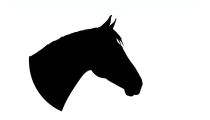 Fototapeta premium Black Horse Head Silhouette Isolated on White Background