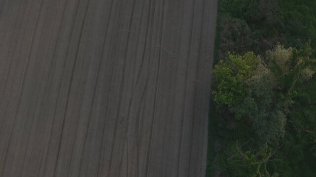 Cultivated farmland in the Po Valley near Cremona, Lombardy, Italy, revealing parallel tractor tracks, field edge, mature trees and textured tilled soil, top-down drone flyover.