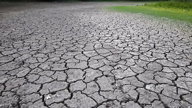 The parched and cracked surface of a dried lakebed illustrates the severe impact of a prolonged regional drought and climate change.