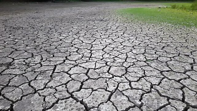 Parched ground shows deep fissures in the soil during a severe drought, highlighting the environmental impact of climate change.
