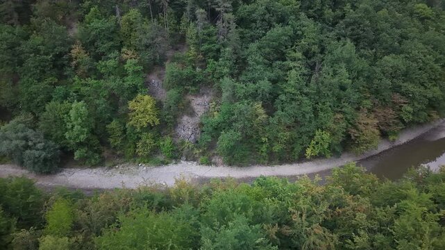 An aerial perspective shows a shallow river bed winding through a dense, lush deciduous forest in a remote, quiet wilderness.