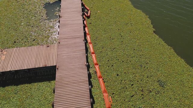 Floating aquatic macrophytes in Lake Paranoa, Brasilia, Federal District, Brazil, revealing a containment boom, wooden pier, reservoir shoreline and open water, drone orbit.