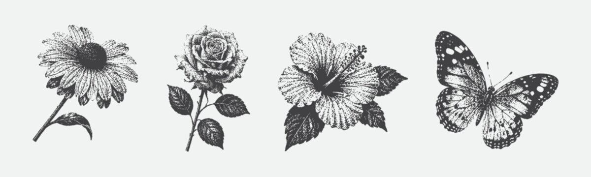 flowers leaves and a butterfly in a photocopy stipple effect