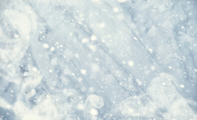Naklejka premium Winter forest landscape. Tall trees under snow cover. January frosty day in the park.