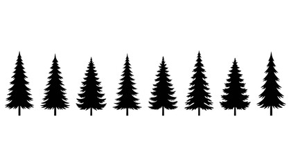 Fototapeta premium Row of black pine tree silhouettes with transparent evergreen tree