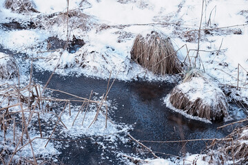 Obraz premium Winter forest. Landscape of the park in winter. Snow-covered trees at the edge.