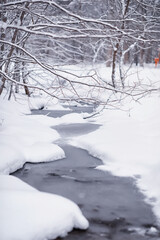 Obraz premium Winter forest. Landscape of the park in winter. Snow-covered trees at the edge.