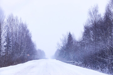 Fototapeta premium The forest is covered with snow. Frost and snowfall in the park. Winter snowy frosty landscape.