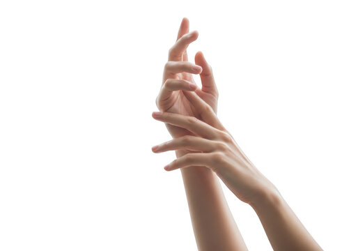 Two elegant female hands gesturing gracefully isolated on transparent background