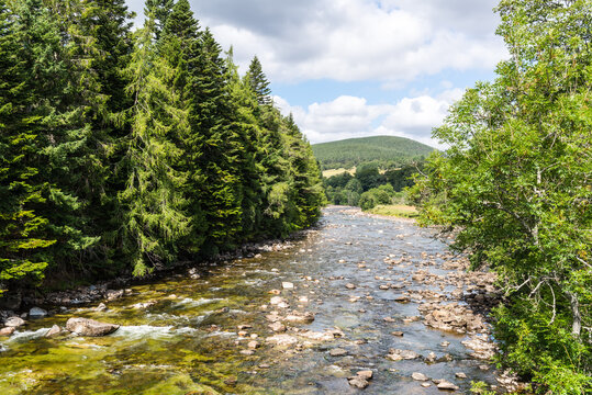 River Dee near Balmoral Castle, Scotland: A shallow rocky river flowing through dense summer forest, with clear water, green trees and distant hills creating a peaceful natural landscape.