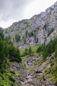 Dramatic Rocky Mountain Ridge with Pine Trees in Bucegi National Park Romania